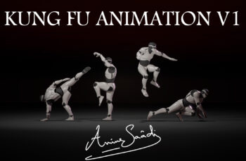 Unity – Combat animations – Kung fu V1