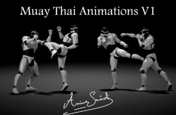 Unity – Combat animations – Kickboxing and Muay Thai V1